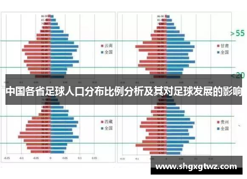 中国各省足球人口分布比例分析及其对足球发展的影响